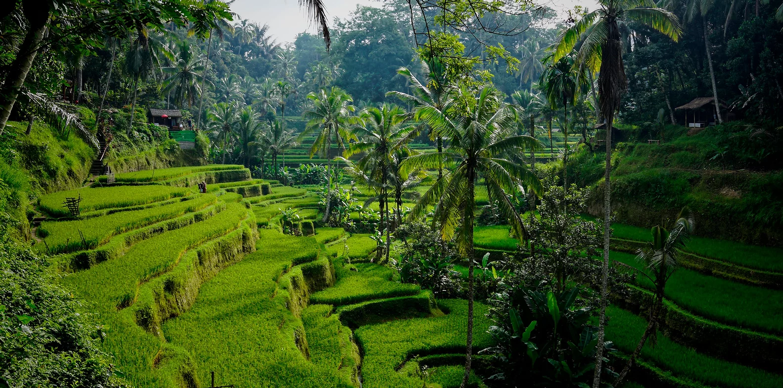 Indonesia - Bali