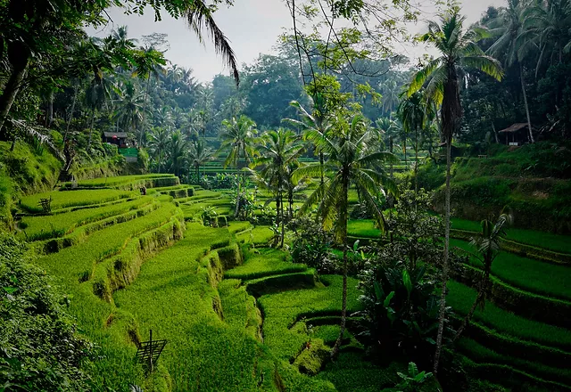 Indonesia - Bali