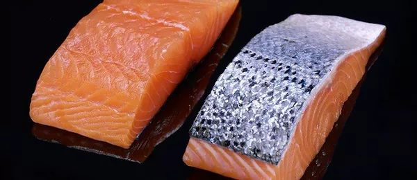 Frozen Salmon